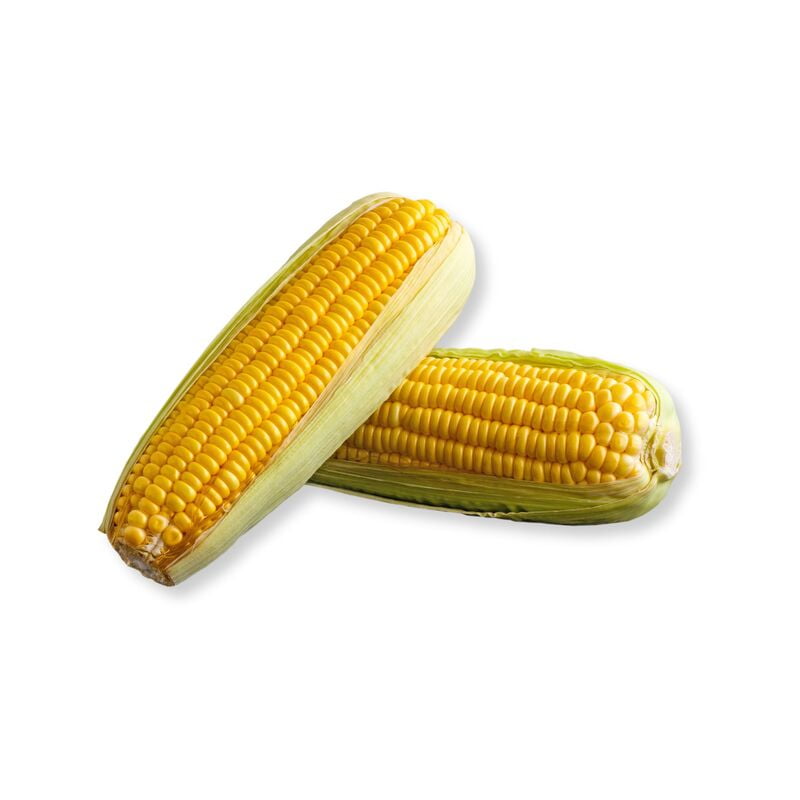 Sweet Corn on the Cob Punnet