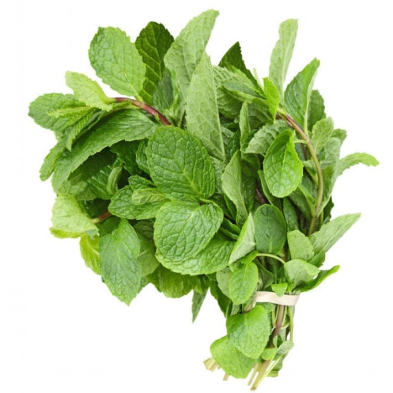 Mint Bunch