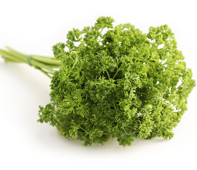 Parsley Bunch