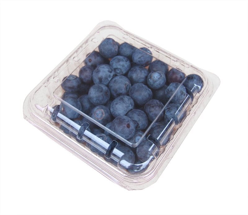Blueberry Punnet