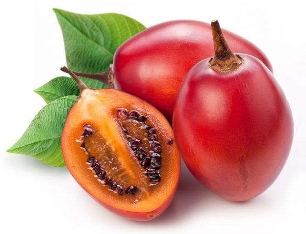 Tree Tomatoes Per kg
