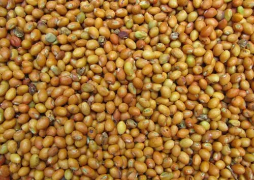 Pigeon Peas (Mbaazi) 1kg
