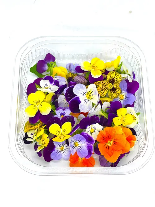 Edible Flowers Punnet