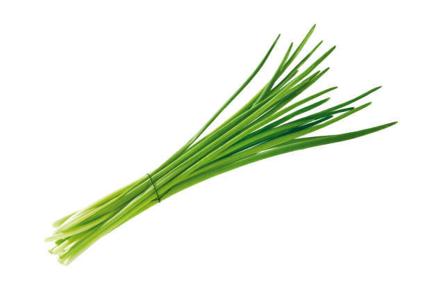 Chives Bunch