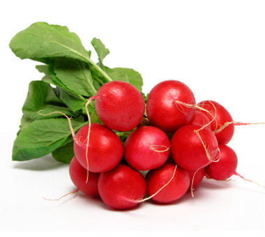 Radish Red Bunch