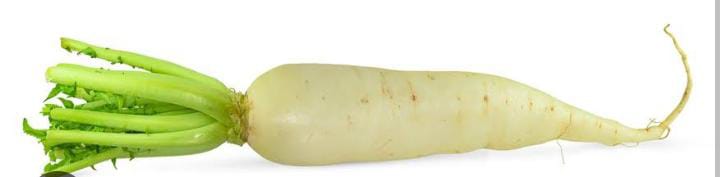Radish White Per Piece