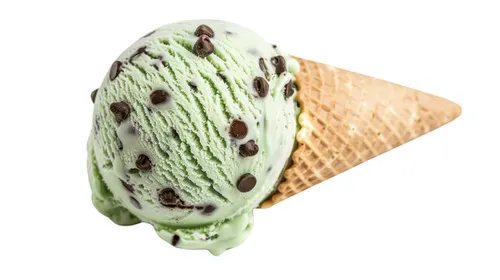 Mint and Choco-Chip Ice-Cream 
