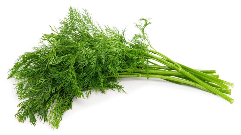 Dill Bunch