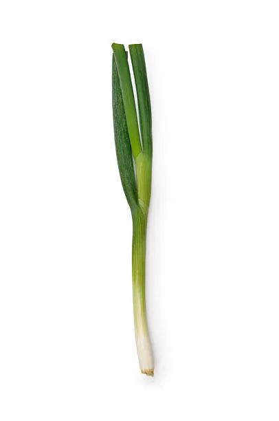 Spring Onions Bunch