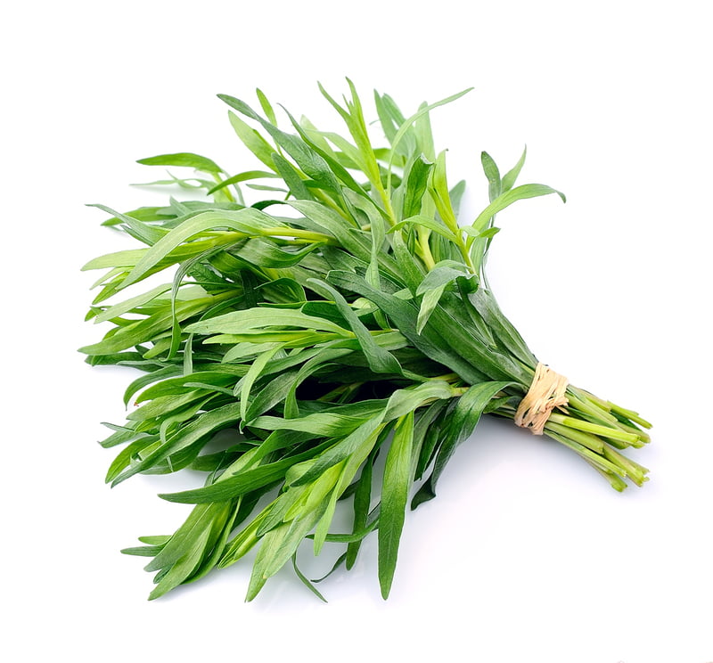 Tarragon Bunch