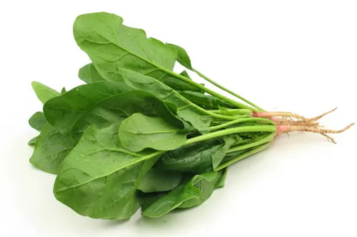 Baby Spinach Bunch