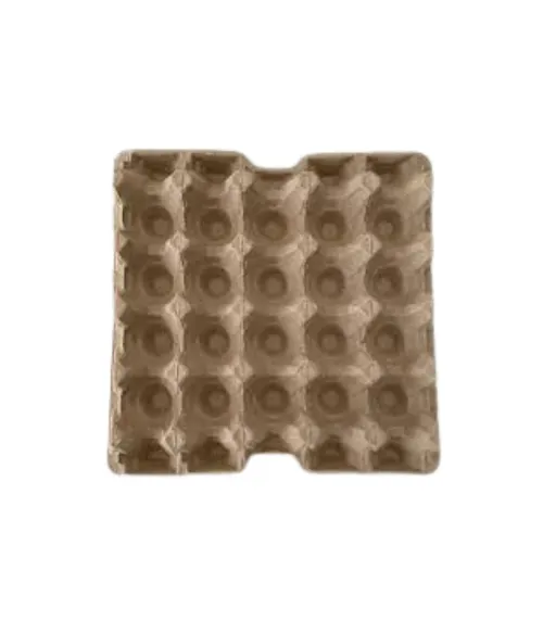 Egg Tray Carton