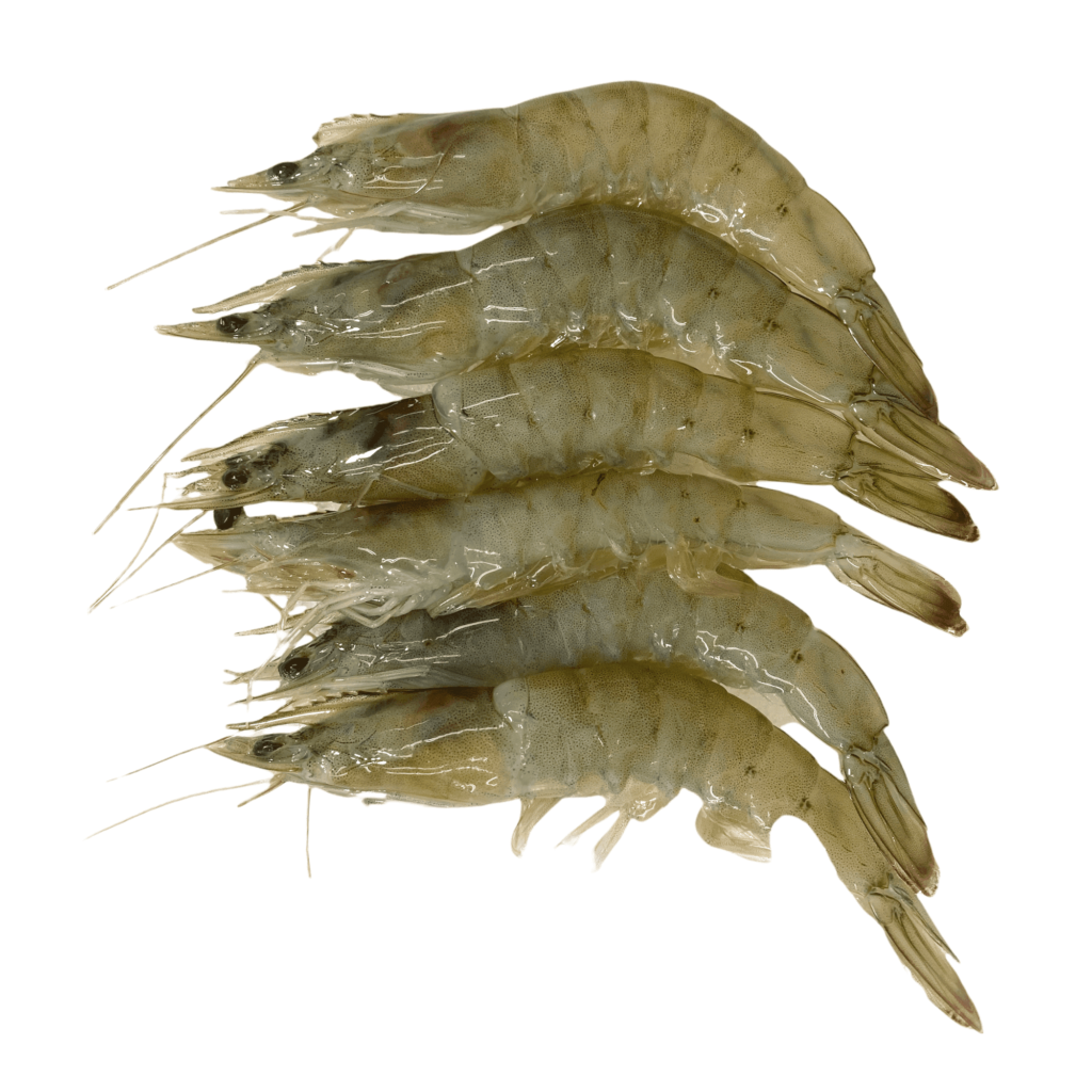 King Prawns 1kg