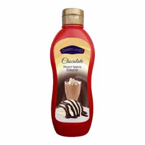 DairyLand Chocolate Topping Dessert Sauce 650gm