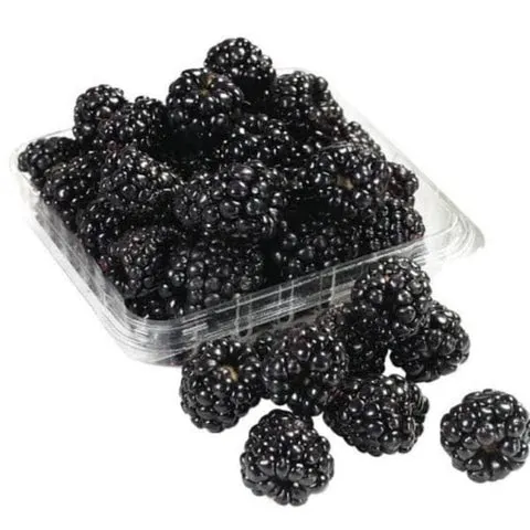 Blackberry Punnet