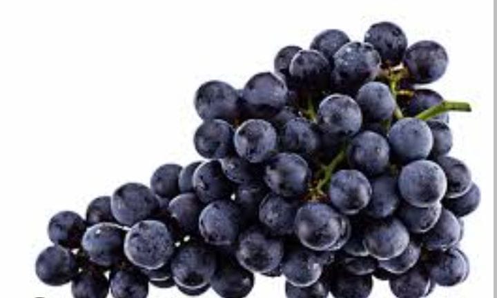 Black Grapes Punnet 