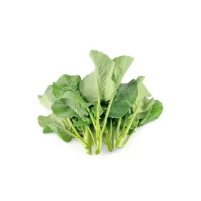 Kanzira Per Bunch 