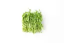 Beetroot Sprouts Per Punnet 