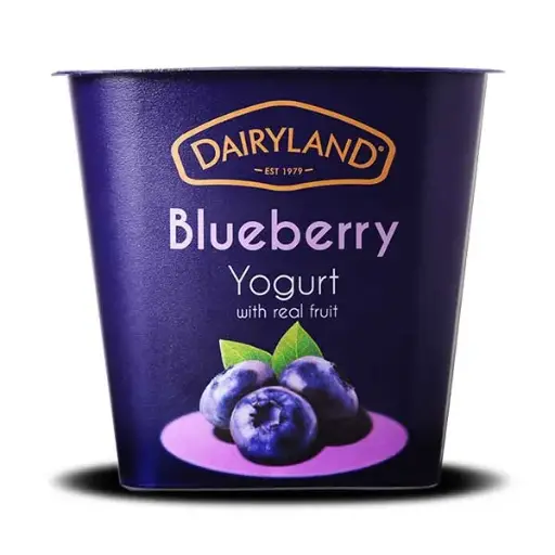 Dairyland Blueberry Yoghurt
