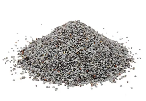 Zasha Poppy Seeds 1kg