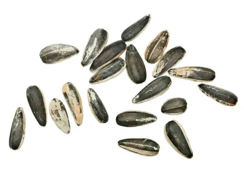 Zasha Sunflower Seeds 1kg