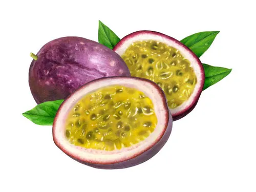 Purple Passion Per kg