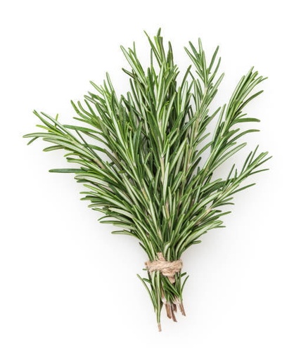Rosemary Per Bunch