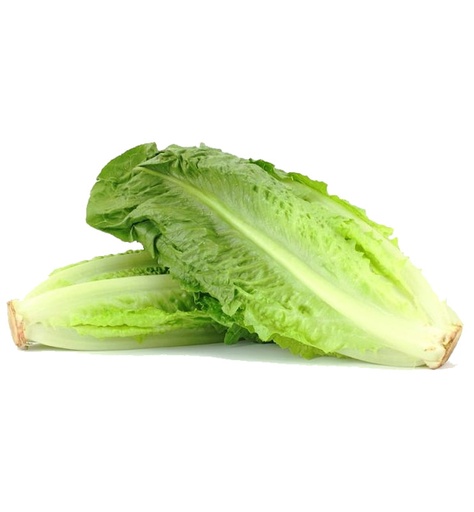 Romaine Lettuce Per Piece