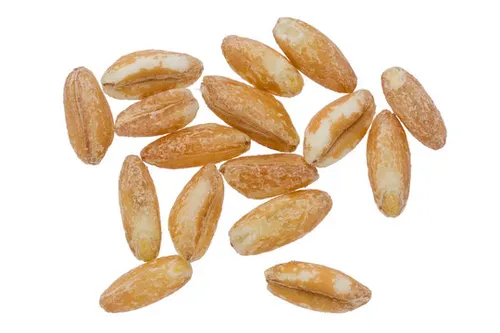 Farro