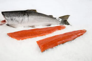 Salmon Fillet 1kg