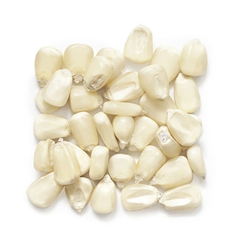 Shelled White Maize Per kg