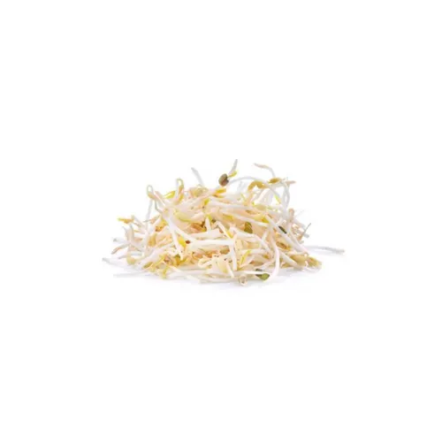 Bean Sprout Punnet 250gm 