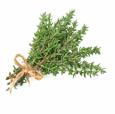 Thyme Bunch