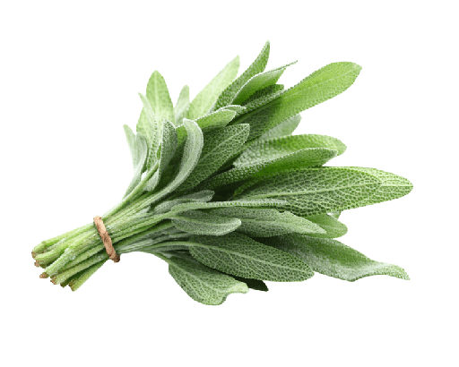 Sage Bunch