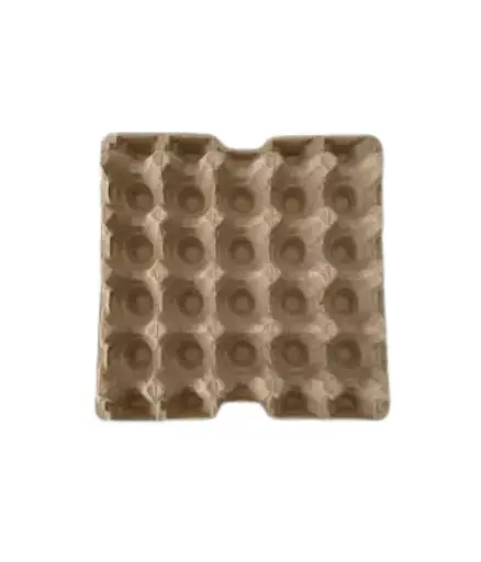 Egg Tray Carton