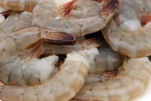 Queen Prawns 1kg
