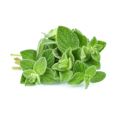 Oregano Bunch 