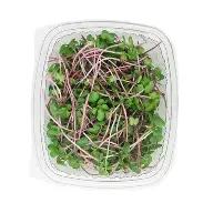 Red Raddish Sprouts Per Punnet  