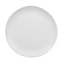 CWCL Melamine Dinner Plate  (Set of 4)